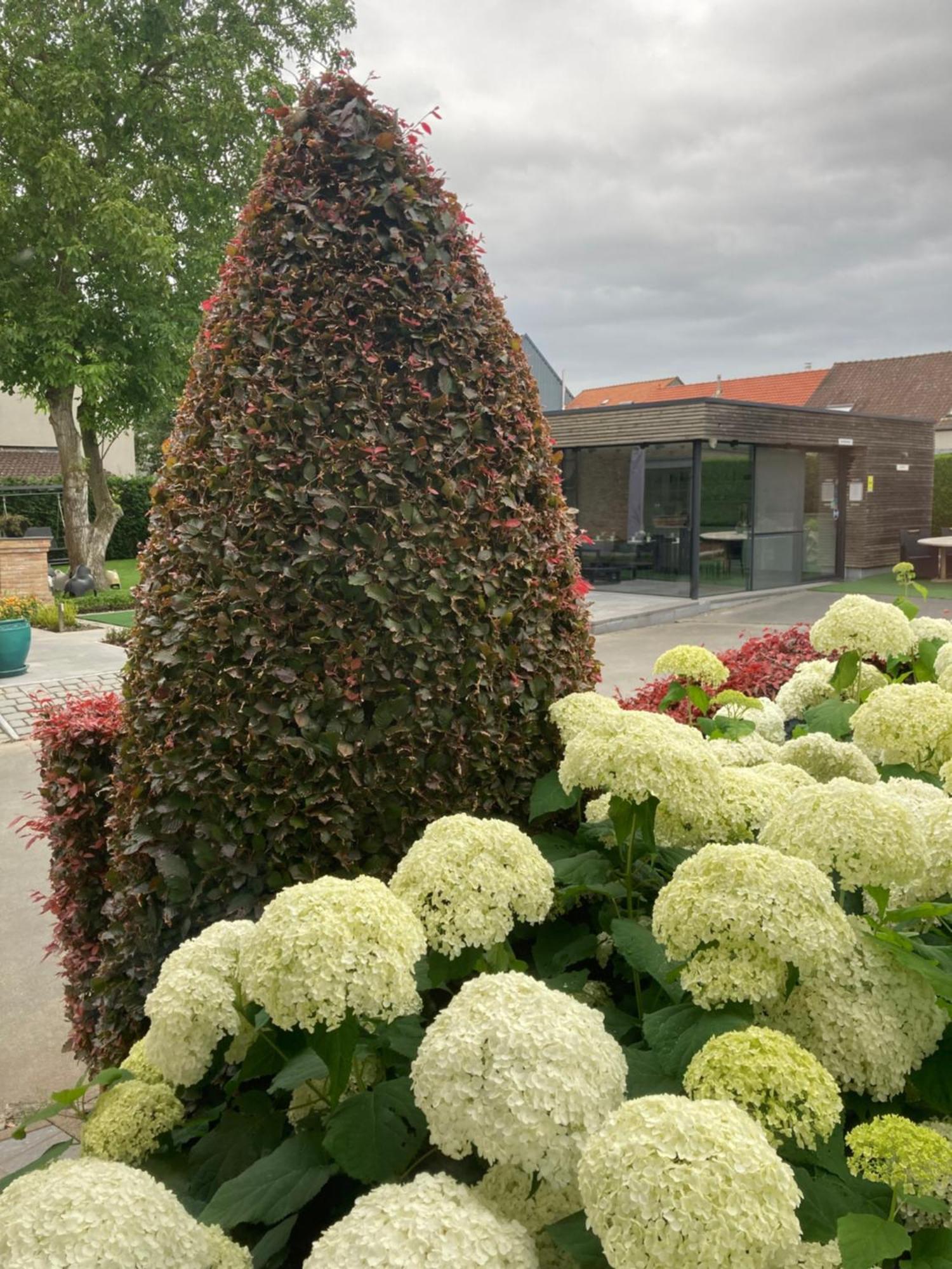 B&B Bertem Natuur Exterior photo